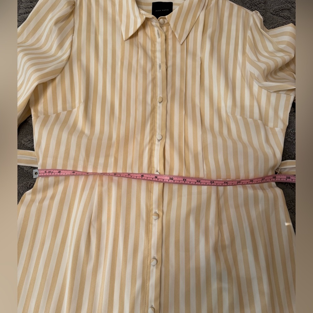 Alex Marie Jesse Cream Striped Shirt Dress - size 14 - Picture 12 of 12